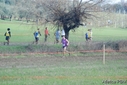 DSC_0029~3.jpg