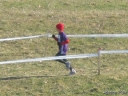 IMG_4603~0.JPG