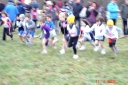 Immagine_007~3.jpg