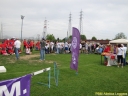 STC_3252_28low29.JPG