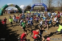 p4787827_3307114627_5_5B800x6005D.jpg